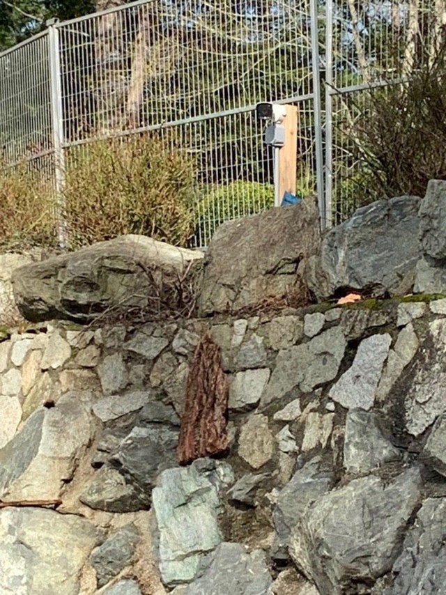 Így őrzik Meghan Markle és Harry herceg kanadai otthonát: fő a biztonság