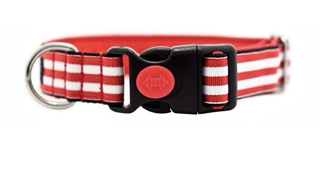 Kutyákra szabja a divatot!