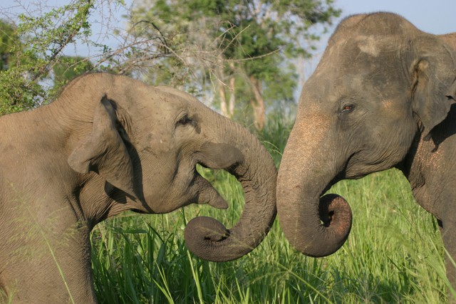 Töltődj fel testileg és lelkileg!