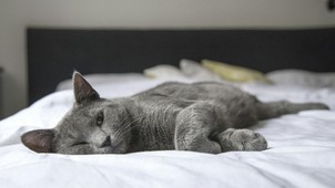 A feng shui szerint ilyen a tökéletes hálószoba