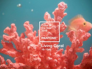 Ez lesz 2019 színe: imádni fogod