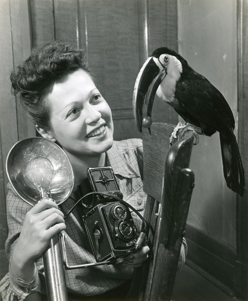 Koffler Kamilla, becenevén Ylla