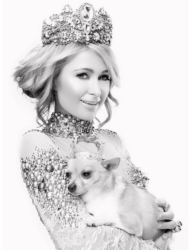 Paris Hilton minden évben sokkolja a nyilvánosságot kisebbnél kisebb kedvenceivel. Összesen 8 kutyát fogadott már örökbe. Bár túl sok helyet nem foglalnak ezek a mini ebek, mégis külön luxusvillát kaptak és dadust fogadott melléjük a nagylelkű gazdi. 