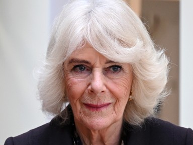 Ezzel az egy szóval jellemezte Diana hercegné Kamilla királynét: mára kiderült, hogy nagyon is igaza volt