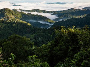A fenntarthatóság ma már választható lehetőség