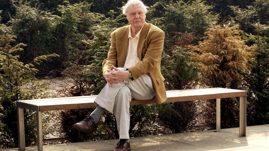 Az amatőr természetbúvártól Sir David Attenborough-ig: ők a televíziós ismeretterjesztés nagyágyúi