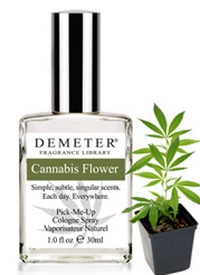cannabis-parfume-200x-d0000F0E09150d6126489.jpg