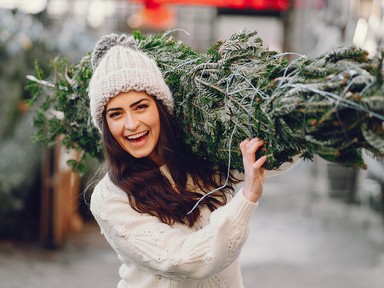A tökéletes fenyőfa titka - Mégis melyiket érdemes választani?