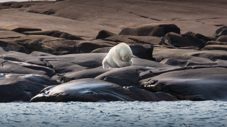 Bár csökkent tavaly a kibocsátás, a felmelegedés folytatódott