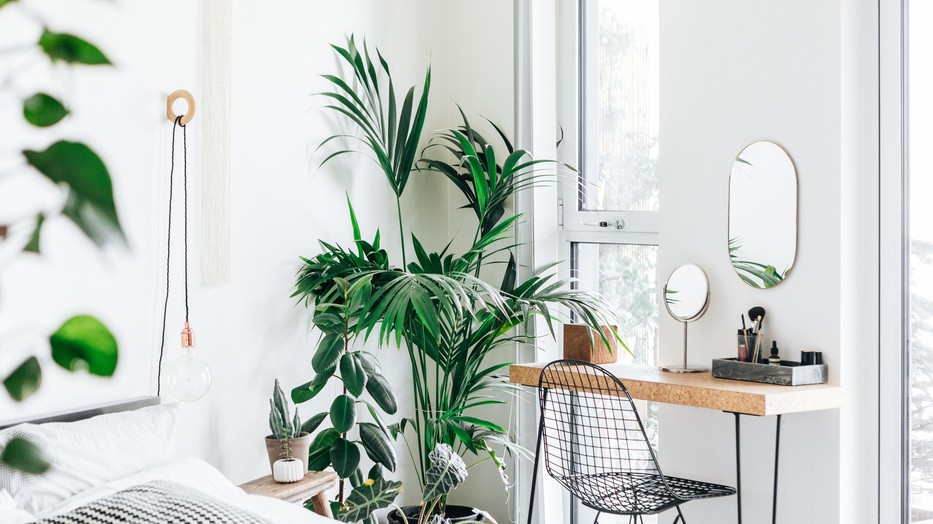 Te tudod, mi az, ami szerencsét hoz a hálószobában, és mi az, ami nem?