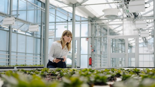 Le van maradva az innovációval a hazai mezőgazdaság, miközben a kibocsátásai nőnek