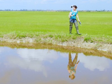 Már egy kerti tó is sokat számít a klímaváltozás szempontjából