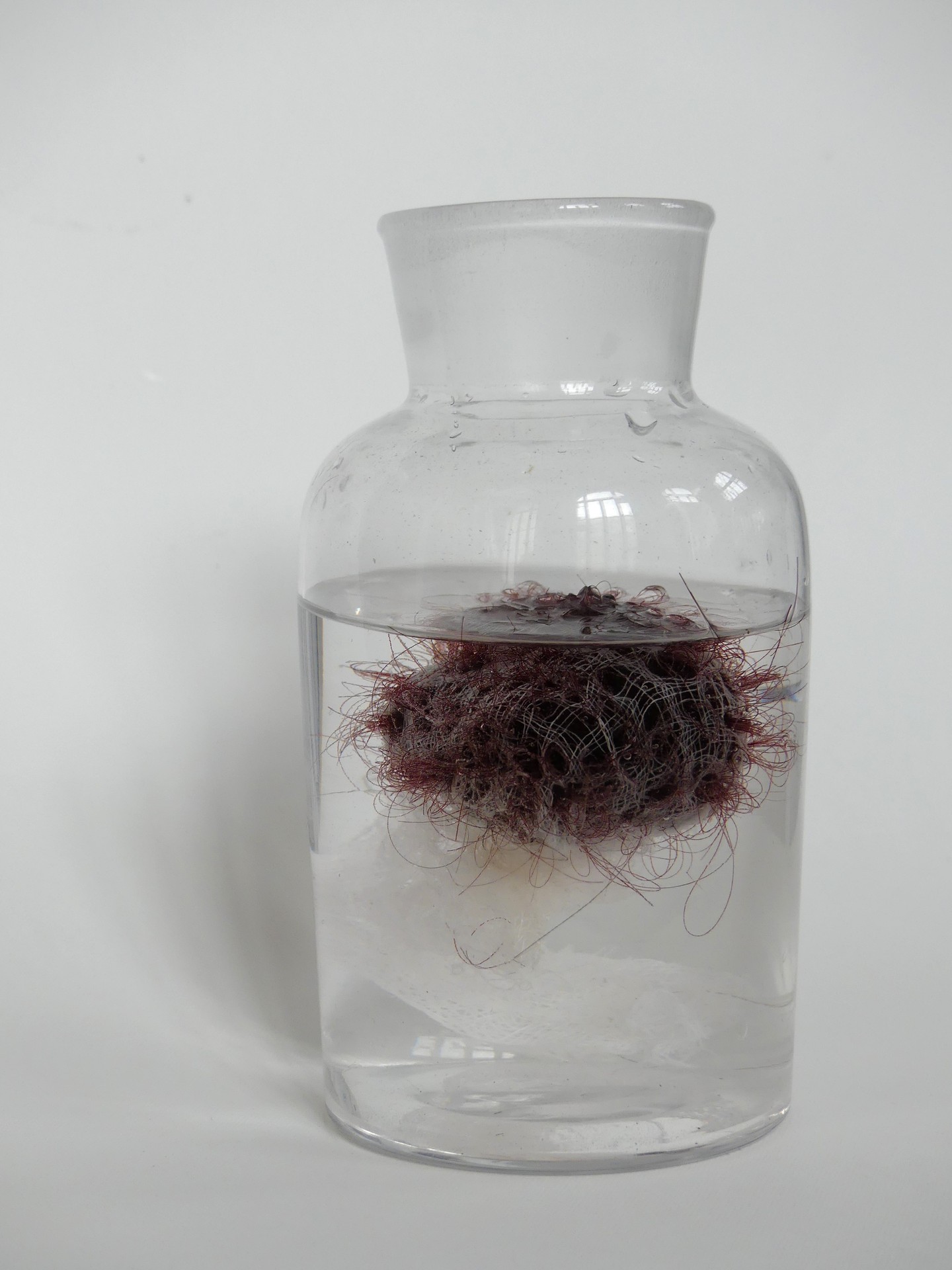 Demeter Zsófia: Mingg 2024