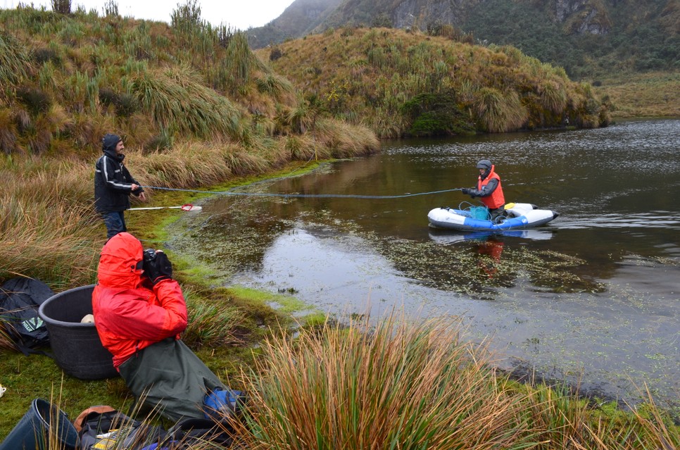 Barta Barbara munka közben