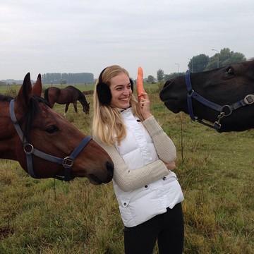 Most vajon kié lesz ez a répa?