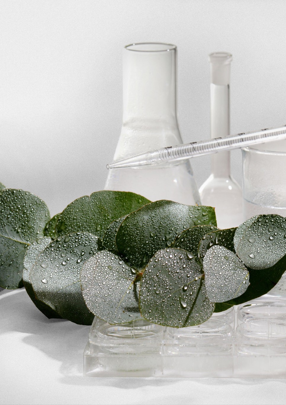 Fenntarthatóság és tudomány - A L'Oréal Paris egy nem mindennapi virtuális eseményen mutatta be legújabb innovációit