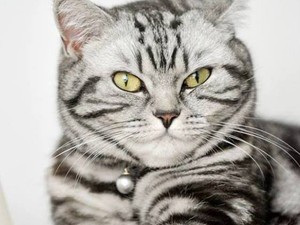 Adj vért te is! Erzsi for President melletted áll!