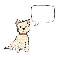 6 önhibáztató gondolat, amit soha ne mondj magadnak