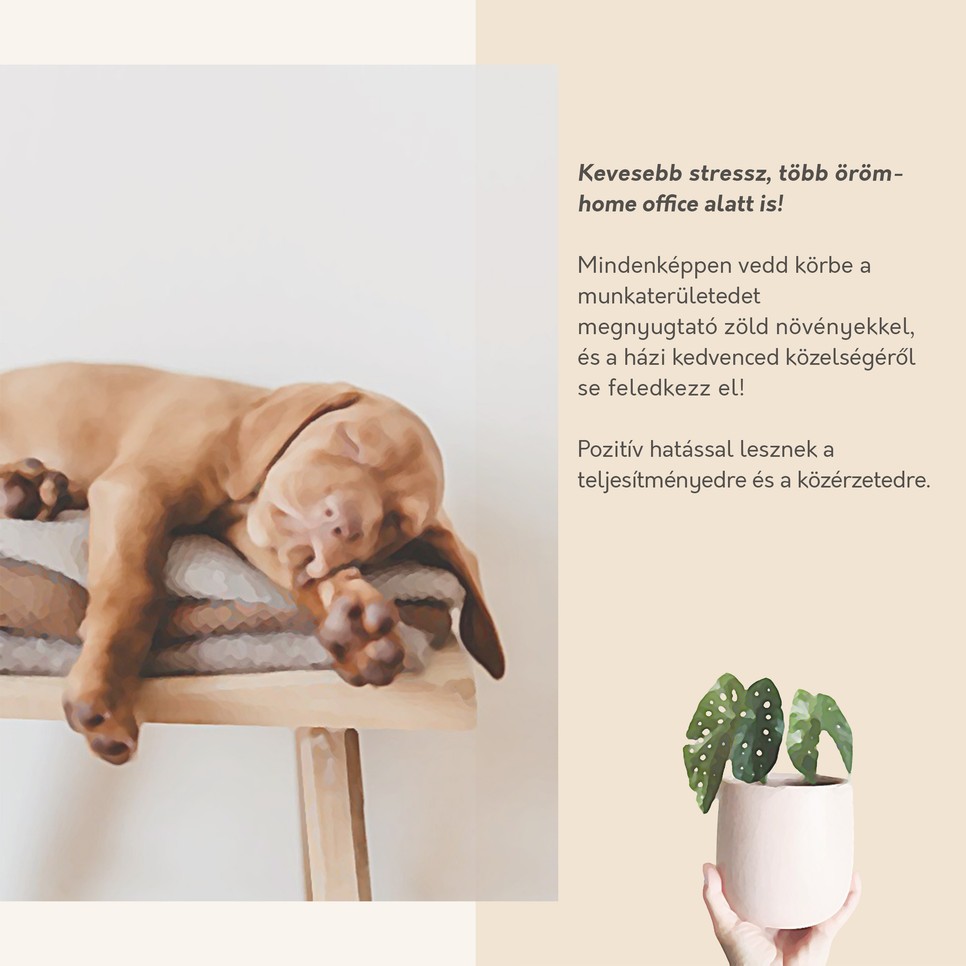 Tippek a lakberendezőtől a megfelelő home office kialakításához