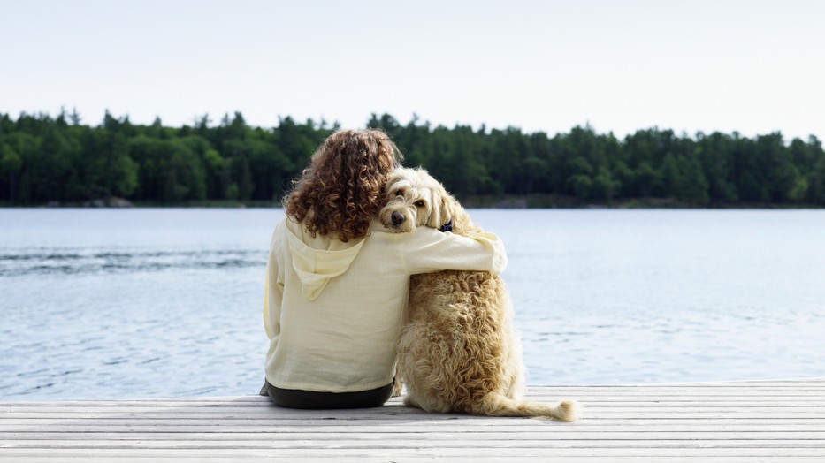 Csányi Vilmos: A kutyából nem egy jól működő rabszolgát kell nevelni, hanem családtagot!