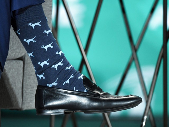 Az amerikai elnökválasztás legnagyobb győztese ez a németjuhász, aki történelmet írt