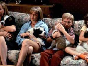 A pszichológus is megerősítette: így hat a mentális egészségedre a  kisállatod