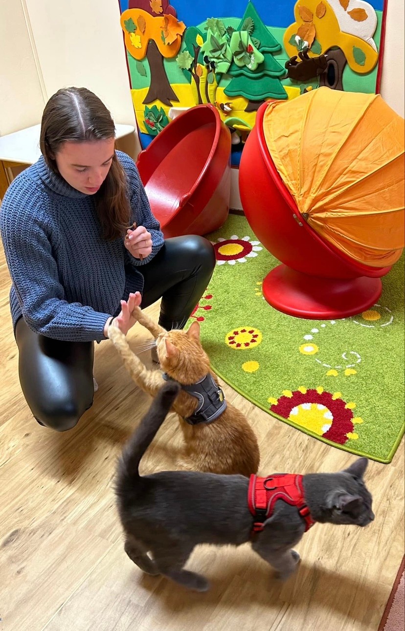 Macskaterápia segítségével támogatható a mentális egészség