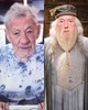  Albus Dumbledore szerepe ikonikus, nehéz elképzelni, de többen is visszautasították. Igaz, Sir Ian McKellen csak azért, mert felkérték ugyan, hogy szerepeljen a Harry Potter-sorozatban, de nem árulták el, melyik szerepet szánnák neki. McKellen pedig így nem vállalta a szerepet.