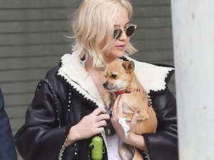 Ilyen lazán taxizik Jennifer Lawrence és kutyusa!