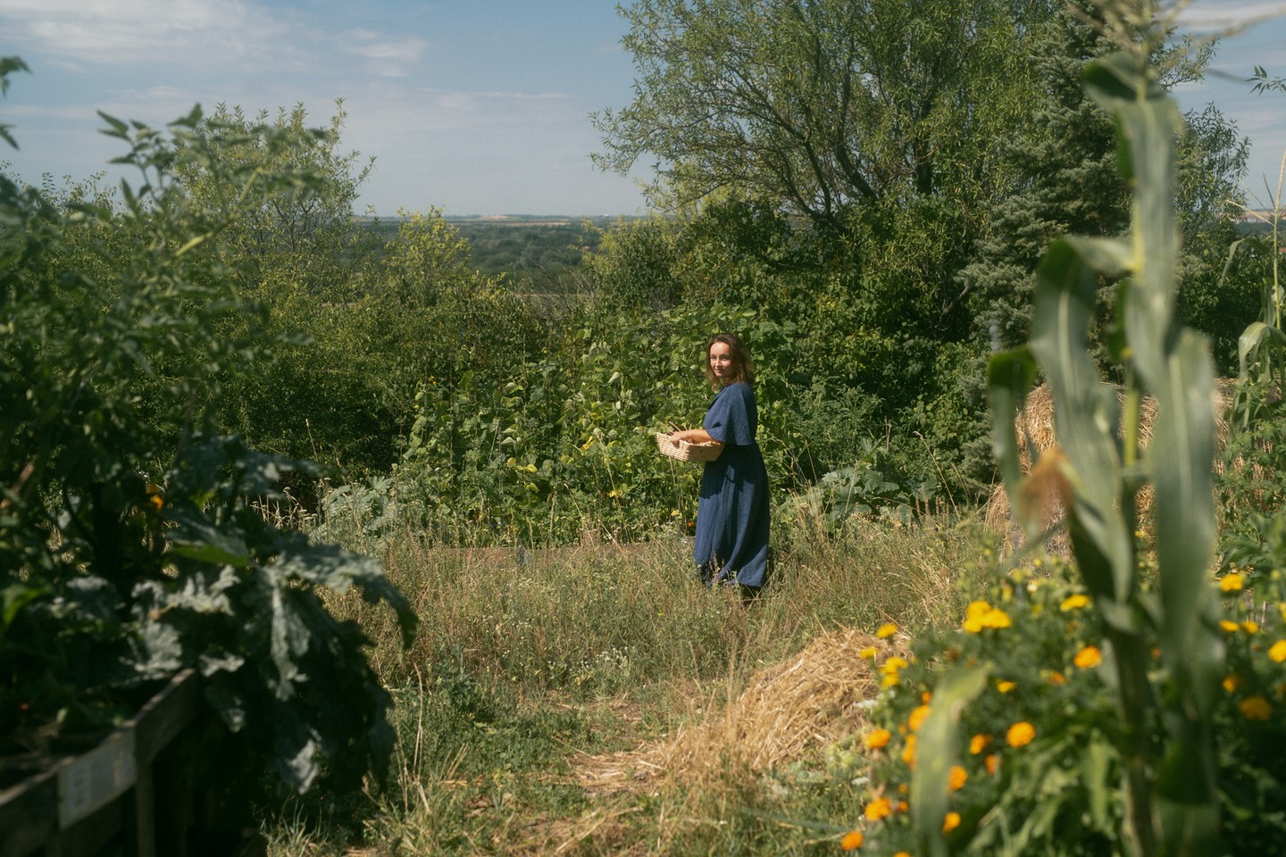A munkájuk középpontjában a természet tisztelete és a vele való együttműködés áll: bioszerekkel erősítik a szőlők immunrendszerét, fermentált gyógynövényekkel permeteznek, madárhoteleket és méhlegelőket telepítenek, valamint gyógynövényekkel, hasznos növényekkel támogatják a terület biodiverzitását. A környező erdősávok megtartásával pedig természetes védelmet biztosítanak az ültetvénynek