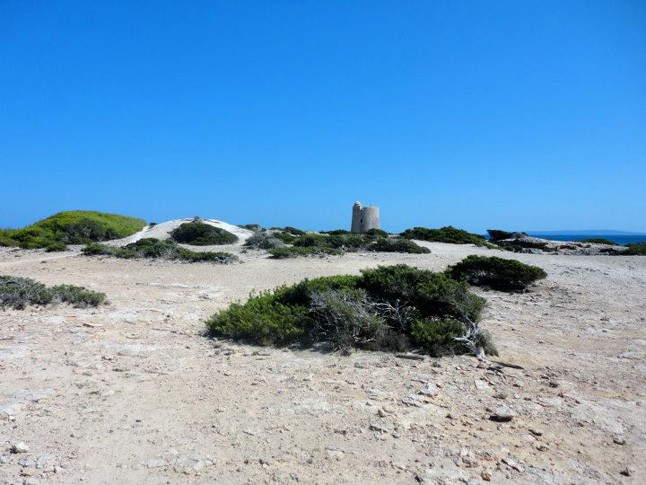 Ibiza - Egy kollekció születése