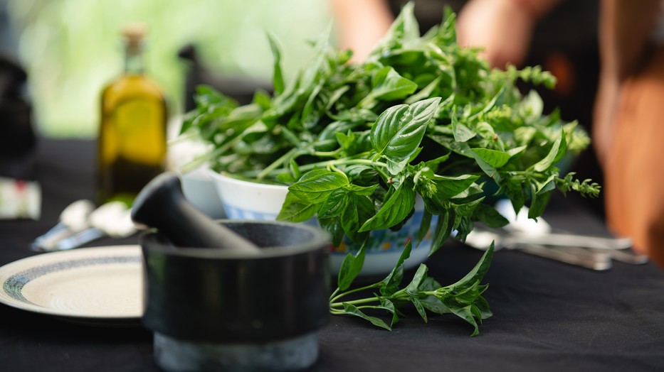 Saját kis fűszerkertre vágysz? Nagy Zsófia, A Fűszeres Lány segít, hogyan kezdj bele