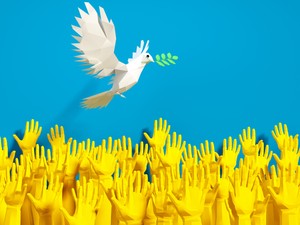 Tízezer euró gyűlt össze a háború elől menekülő családoknak a békegalambok segítségével