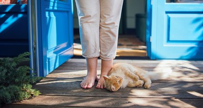 Megnyitja a bőség kapuját: ezt a filléres dolgot tedd az ablakba vagy az ajtó közelébe, és elönti a szerencse a házat