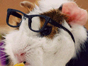 Ma ideális a nap a tanulásra - Egymondatos horoszkóp - október 14. péntek