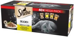 A SHEBA 40 pakkos nedves macskaeledel -40% kedvezménnyel kapható a GLAMOUR-napok X-MAS WEEK idején a magyarországi SPAR áruházakban