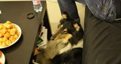 Képriport a GLAMOUR WOMEN of the Year forgatásról!