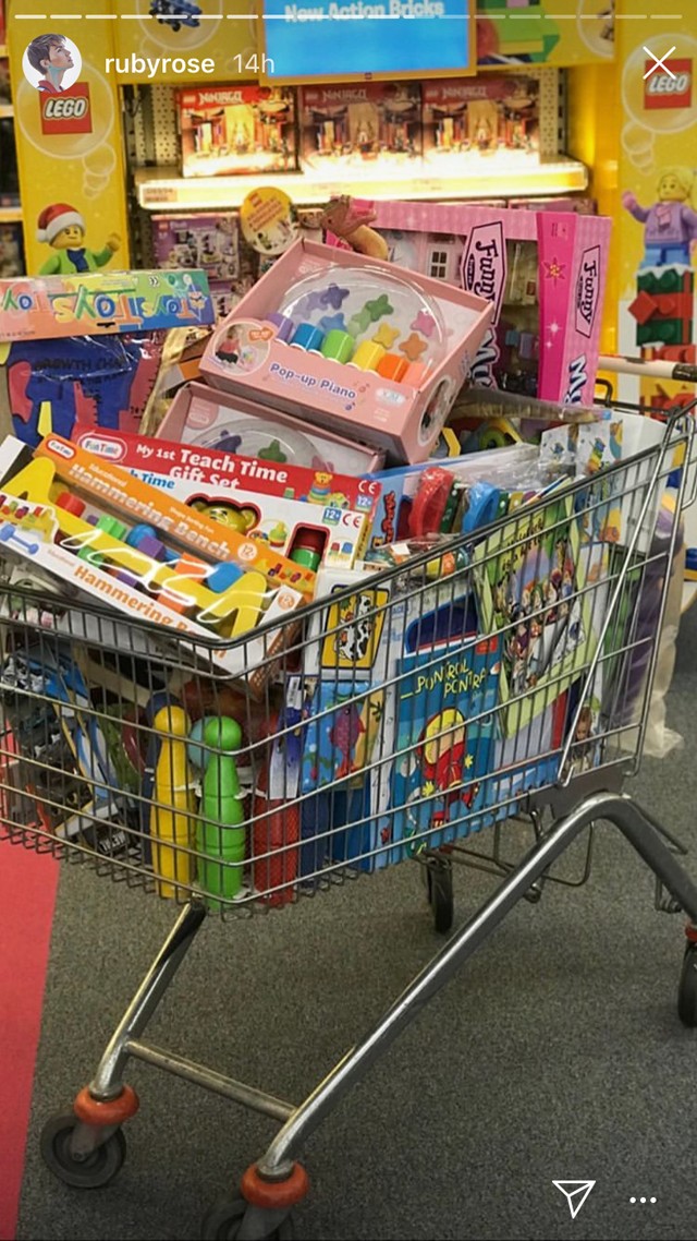 A hollywoodi színésznőnek elege lett, saját maga vásárolt be a magyar kórháznak