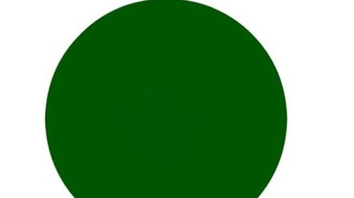 Most ettől a képrejtvénytől őrül meg az internet! Te látod?