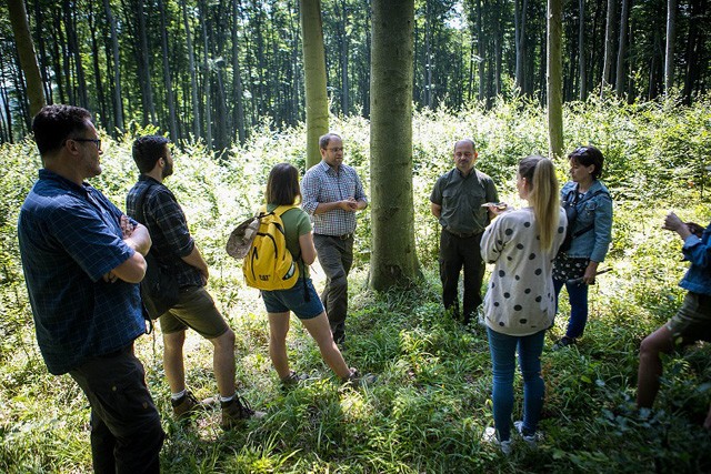 Így hat a klímaváltozás a magyar erdőkre: a fenntarthatóság fontosságára neveli a gyerekeket az Erdei Vándortábor