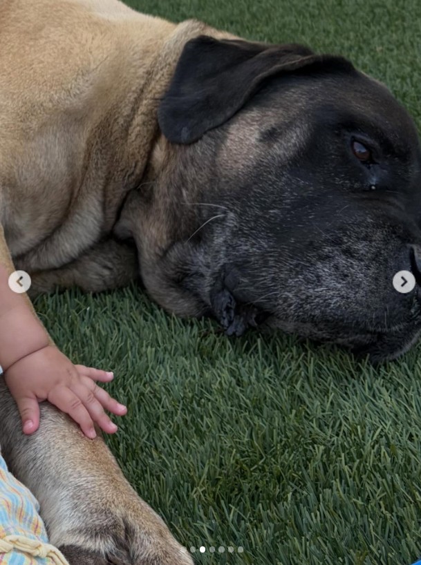 Millie Bobby Brown a kislányáról osztott meg fotót