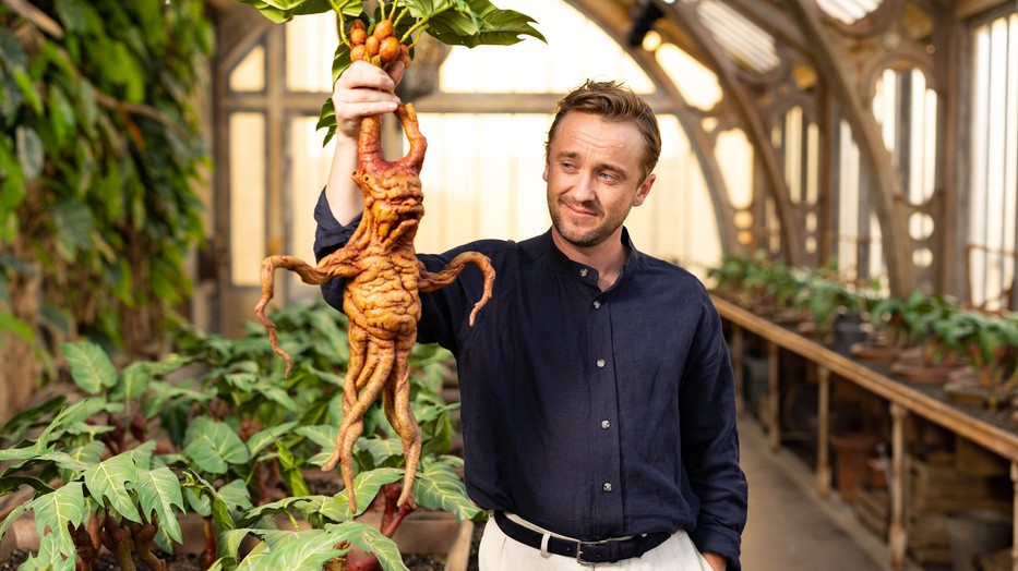 Tom Felton Beyond the Wand című memoárjában mesél a Harry Potter alatti és utáni életéről