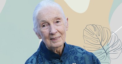 Jane Goodall: „Az emberek talán tudnak rakétát építeni, de nem ettől lesznek okosak. Az állatok sokkal intelligensebbek, mint gondolnák”