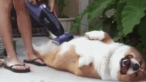 GLAMOURSZKÓP 2015. március