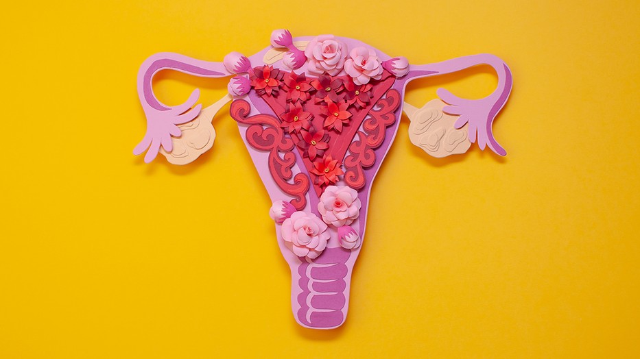 Csak az emberek menstruálnak? Itt a válasz