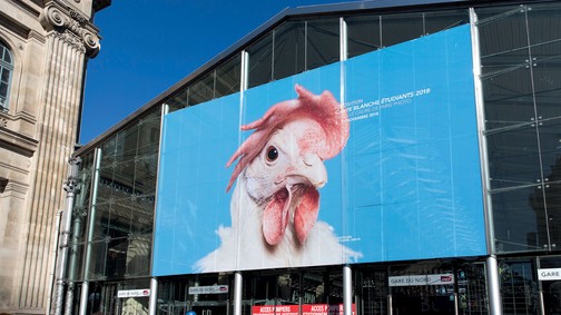 „Az ember egy furcsa, hazátlan állat, akinek meg kell csinálnia a helyét, és ennek az emberlétnek a kettősségéről és problémáiról beszélek a munkáimban” - beszélgetés Szalai Dániel fotóművésszel