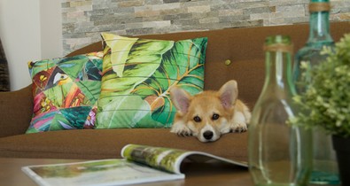 Én és a bútoraim - avagy vásároljunk-e online bútort?