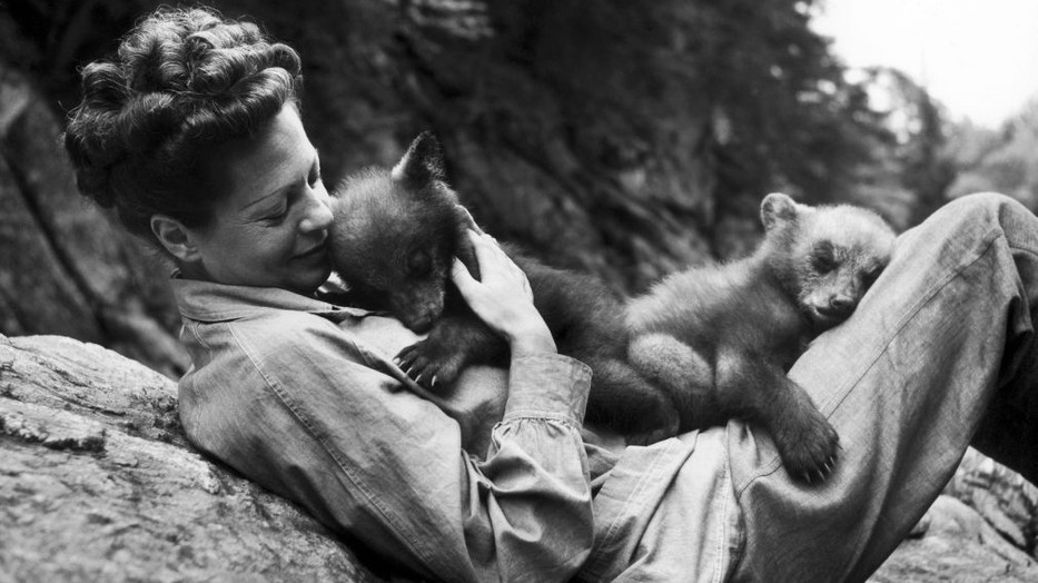 A magyar származású Ylla munkásságával megalkotta az állatfotózás műfaját