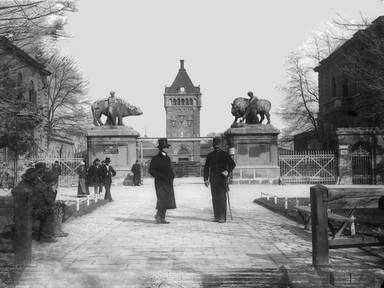 A biztonságos húsfogyasztás nyomában az egykori budapesti közvágóhídon - csak erős idegzetűeknek