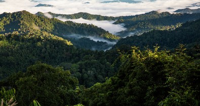 A fenntarthatóság ma már választható lehetőség